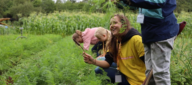 Noen få personr som jobber i et felt Noen få personr som jobber i et felt