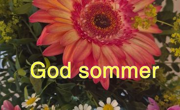 en gruppe fargerike blomster