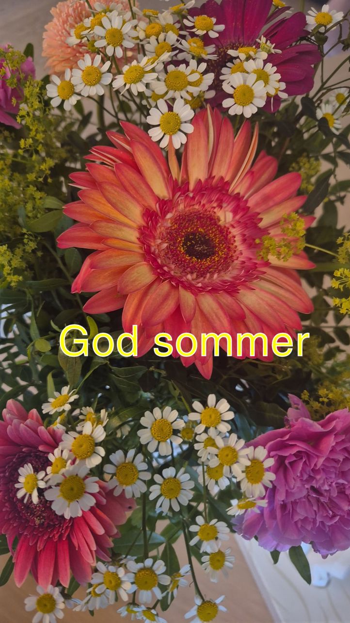 en gruppe fargerike blomster