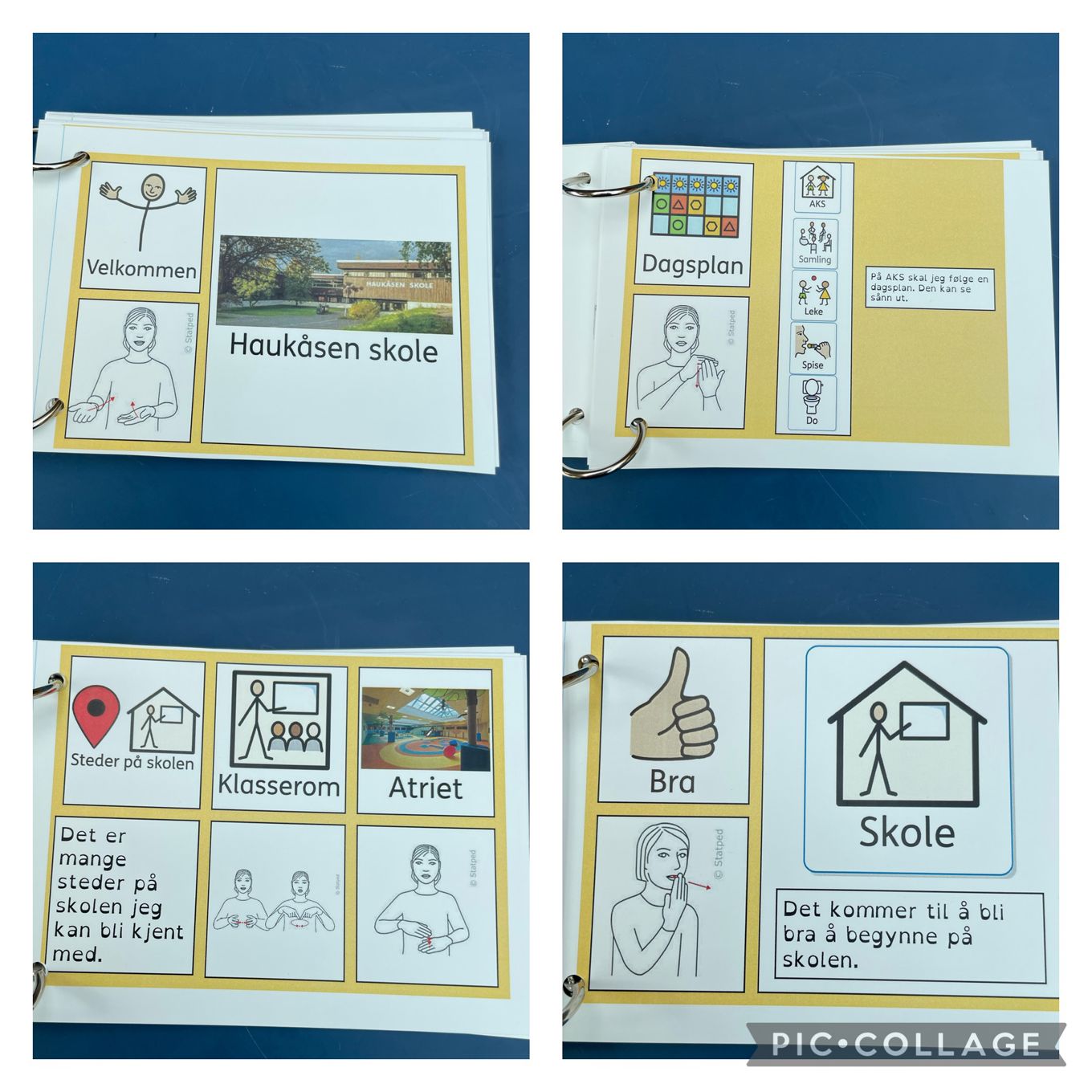 Bok om skolen med tekst og billedstøtte 